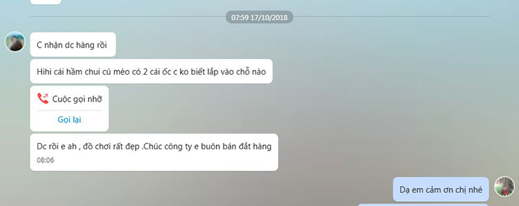 Lắp đặt nhà chòi bằng gỗ, tủ kệ mon cho trường mầm non tại Hà Nội-10