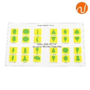 Giáo cụ 8 bảng hướng dẫn cho tủ hình lá, Song ngữ GC36-309 giúp học về các hình dáng của lá