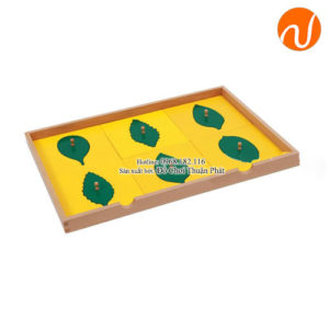 Giáo cụ bộ khay hình lá GC36-311 giúp đựng các mảnh ghép lá cây