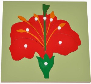 giao cu montessori xep hinh hoa 1