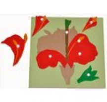 giao cu montessori xep hinh hoa 3